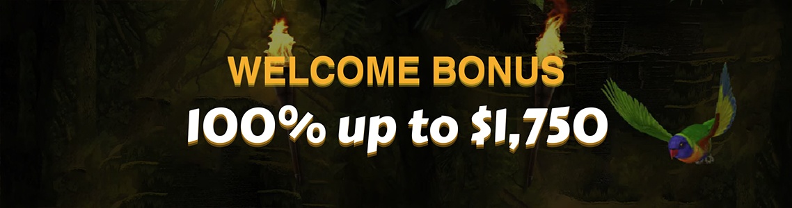 CashWin Bonus