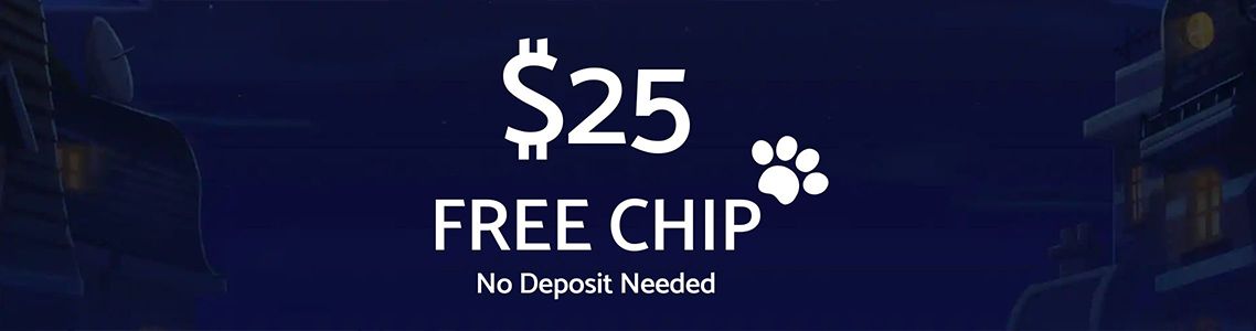 CoolCat Casino Bonus