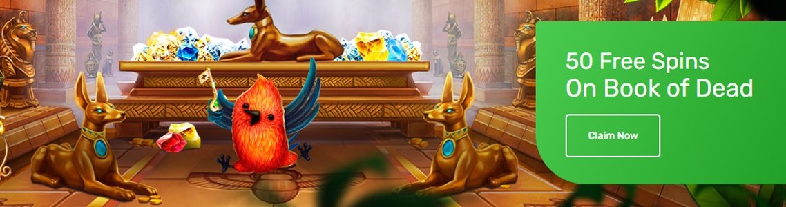 Lucky Bird Casino Bonus