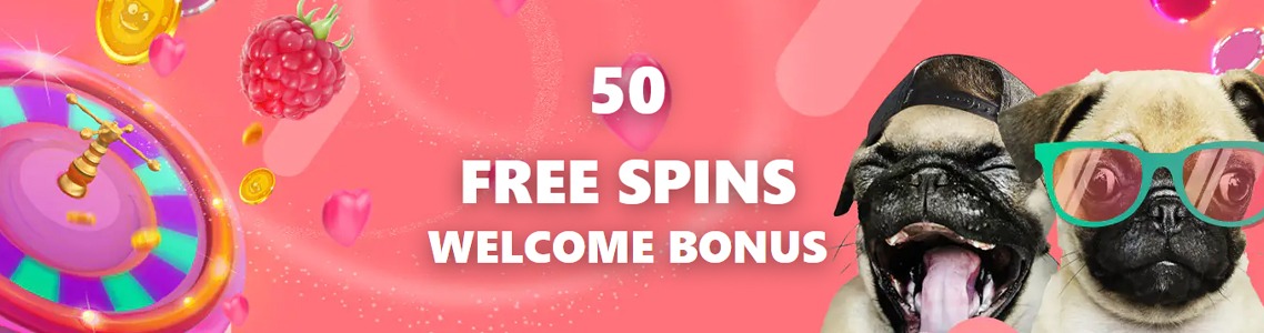 Spin Pug Bonus